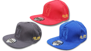 V Logo Hat