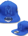 V Logo Hat