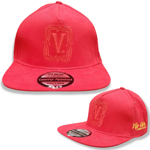V Logo Hat